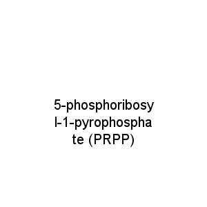 5-phosphoribosyl-1-pyrophosphate (PRPP)
